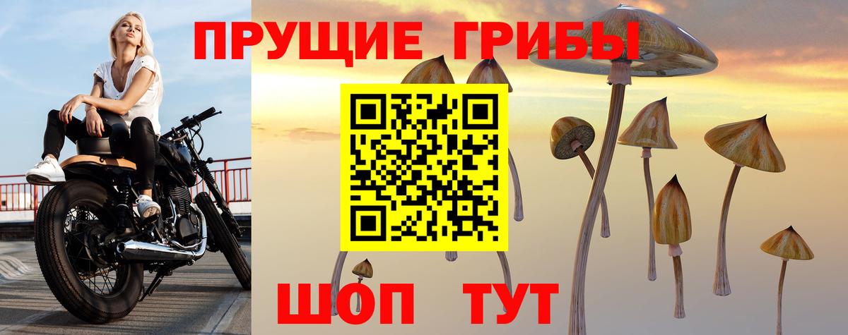Галлюциногенные грибы прущие грибы Нарткала